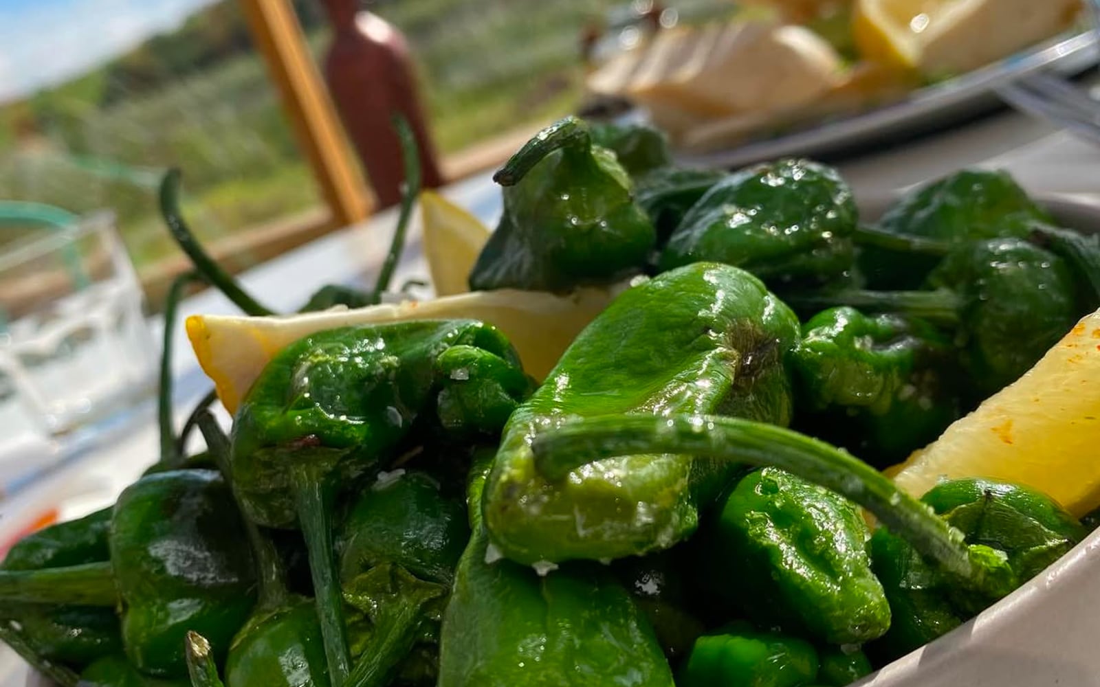 Blistered padrón peppers with Cornish sea salt by the marsh-view window at The Bank at Bude